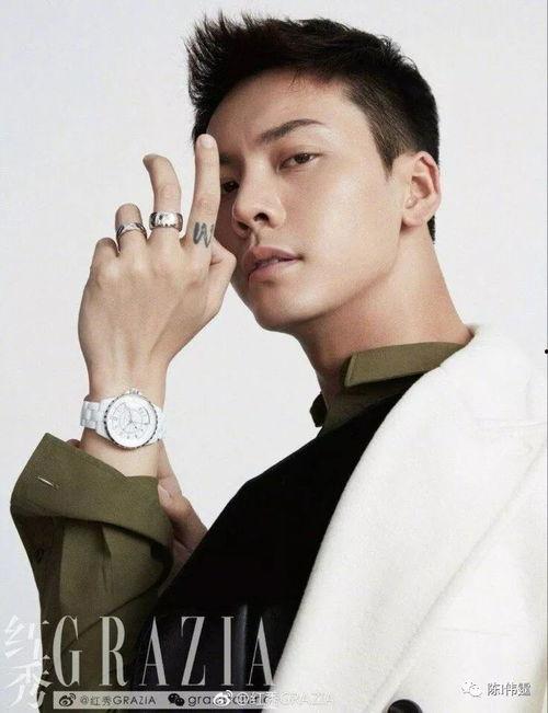 明星照片男明星,探寻男明星的魅力瞬间