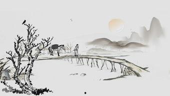 秋思的视频,穿越时空的思念之旅