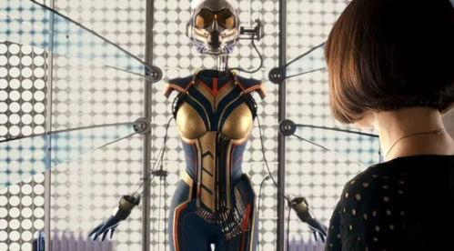 女黄蜂免费观看,免费畅享的惊悚冒险之旅