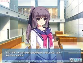 lovely cation无码补丁,探索其背后的技术与应用