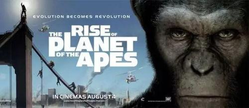 猩球征服 在线播放,人类与猿族的生死较量