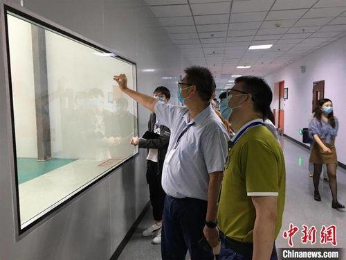 黄石电子厂爆料视频最新,揭秘工厂真实工作环境与员工心声