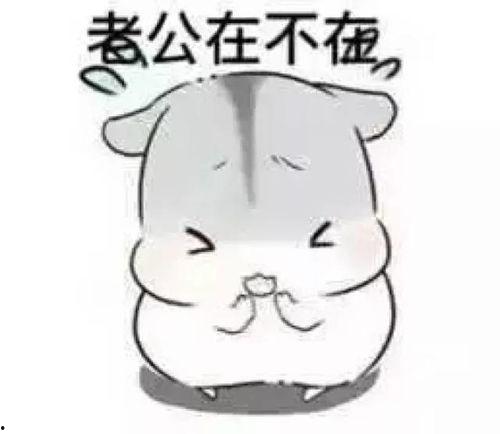 文字老公亲嘴搞笑图片,老公亲嘴搞笑瞬间大盘点