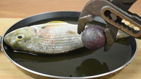 星际过客 在线观看免费,穿越宇宙的神秘之旅