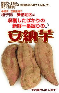 求种子日本高清,高清视觉之旅