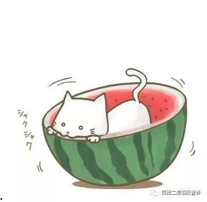 2022娱乐吃瓜动画,笑料百出，笑翻全网