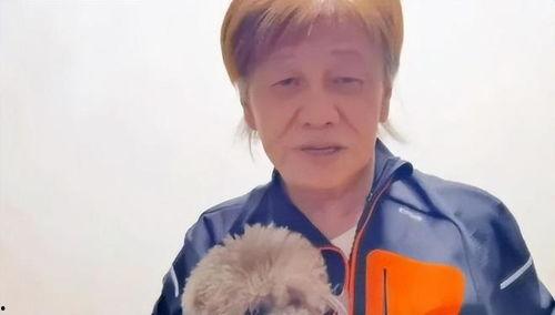 吃瓜系统一口气看完娱乐圈