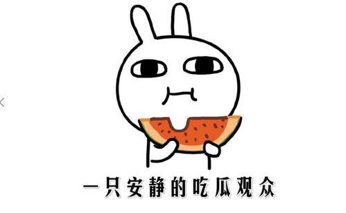 吃瓜是啥意思微信,揭秘“吃瓜”一词在微信中的流行含义