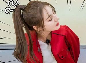 吃瓜娱乐圈小绵羊,吃瓜群众眼中的明星养成记