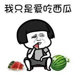 娱乐吃瓜酱考试